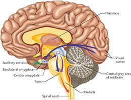 Doctor Formulation